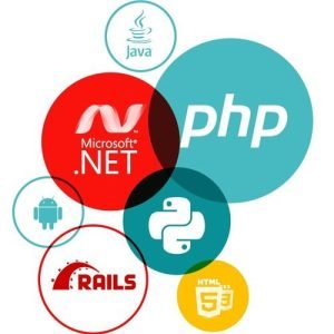 website-development-services-500x500